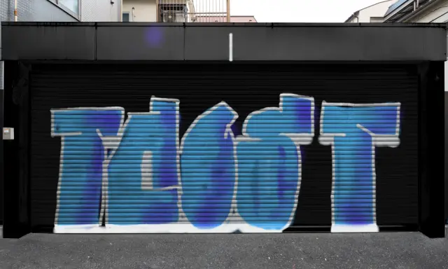 Graffiti artwork by taost
