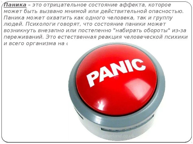 https://i.ibb.co/ymWFzLTq/IMG-0578.jpg