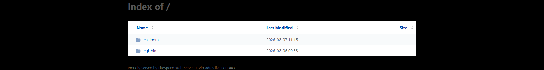 Stored capture of vip-adres.live