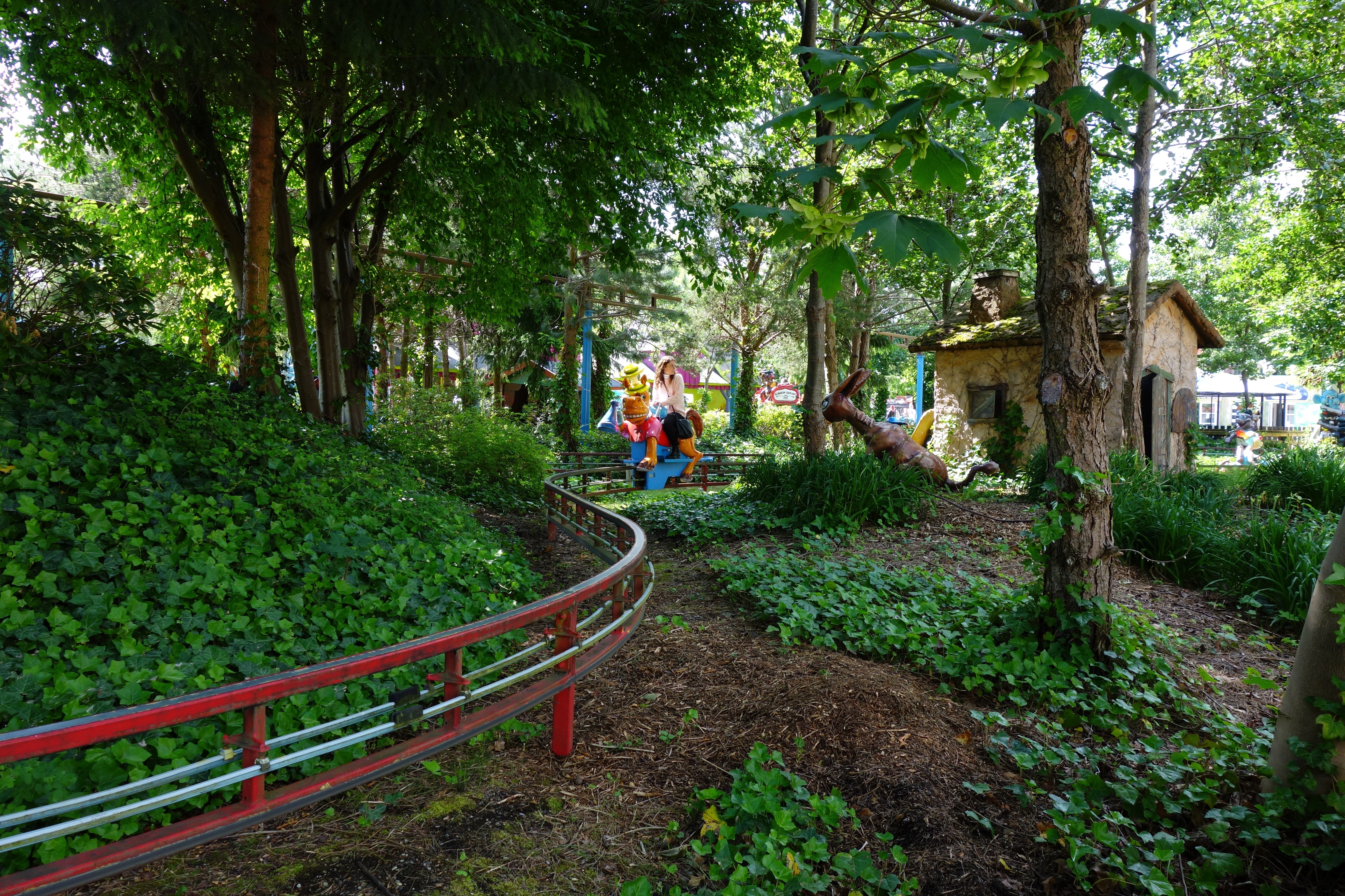 DSC06850