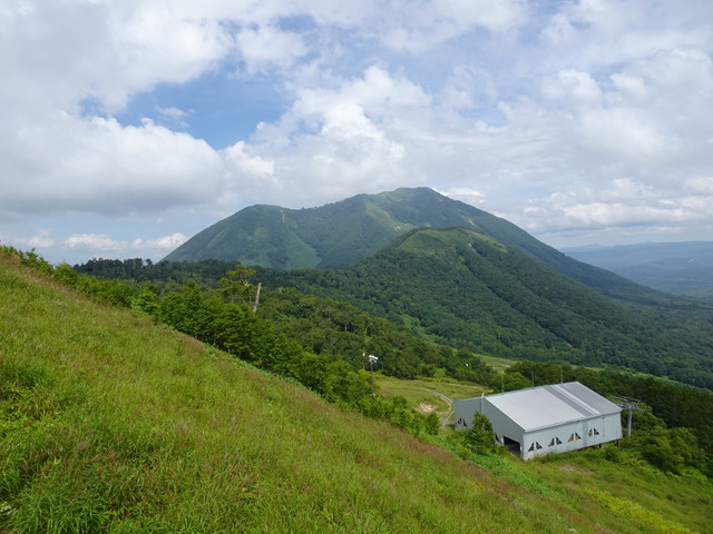DSC03677.jpg