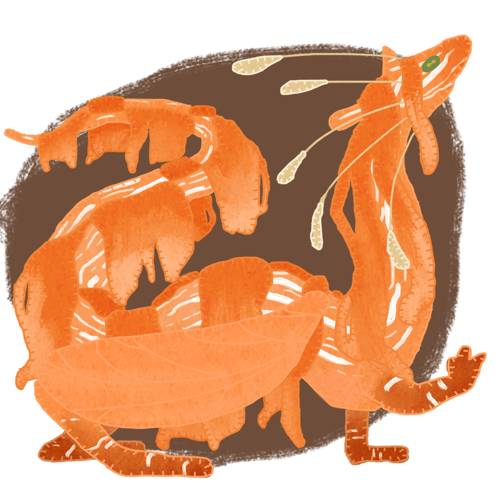 Sumlam.png