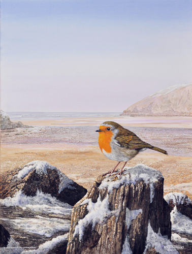 Winter Beach Cornish Robin web.jpg