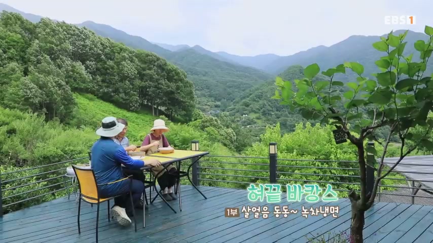 하동 녹차냉면 설명 이미지 4