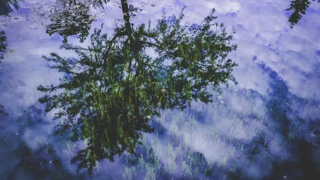 Italia ascunsă: Insula fără mașini, un paradis liniștit pe lac, departe de agitație.