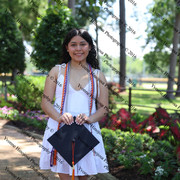 IMG 5989