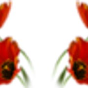0-9916e-fa43ac92-M