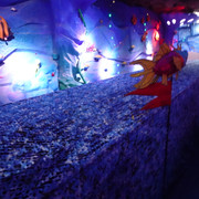 DSC00031