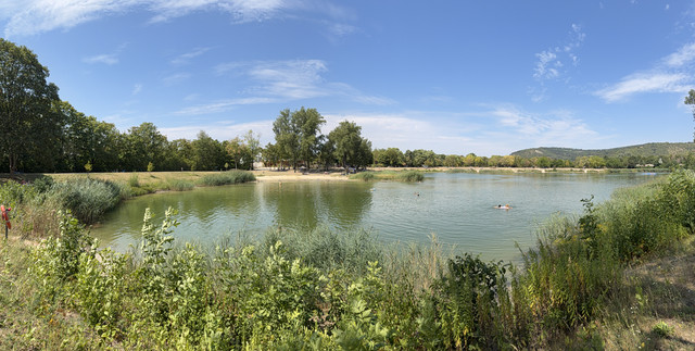 IMG 7864.jpg