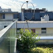 IMG-2950