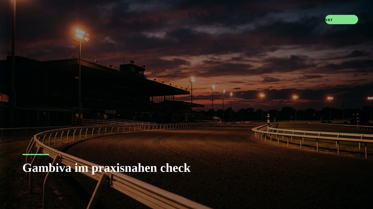 Gambiva im praxisnahen check