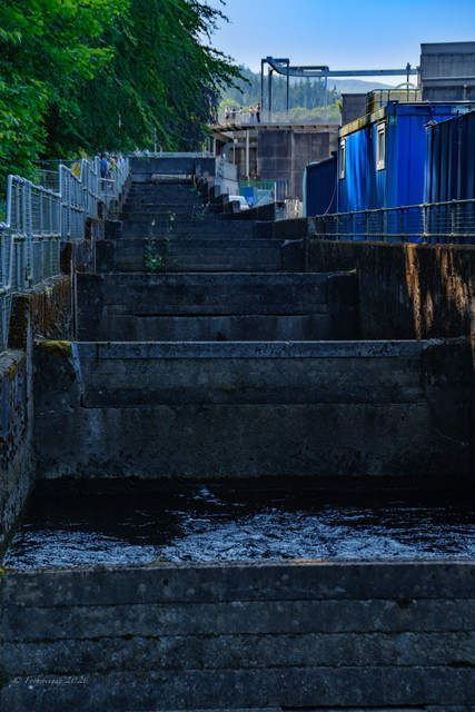 DSF6480.jpg