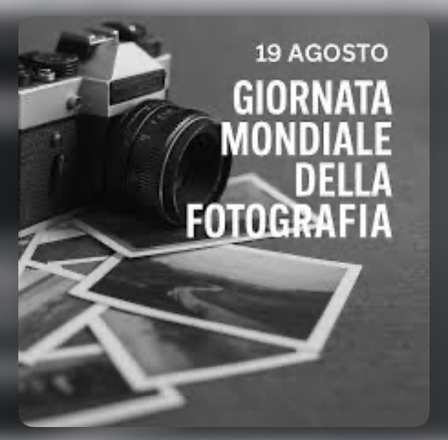 IMG-3041