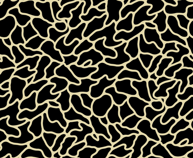 425 copy.png