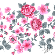 9e84a8e56229f4ecc0f7f692cdcb180c