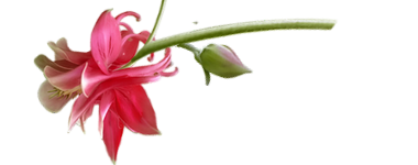 fleur 2.png