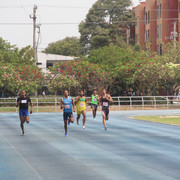 IMG-0339