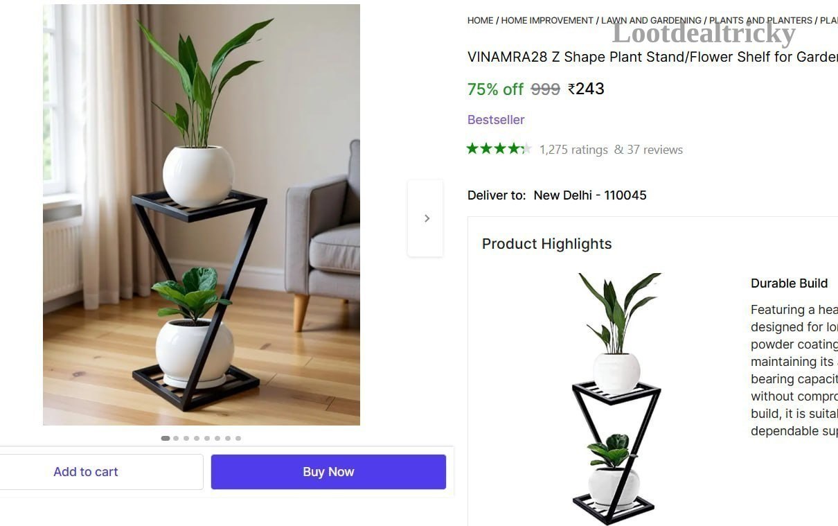   z Shape Plant – Just ₹243 | Limited Time Loot Offer