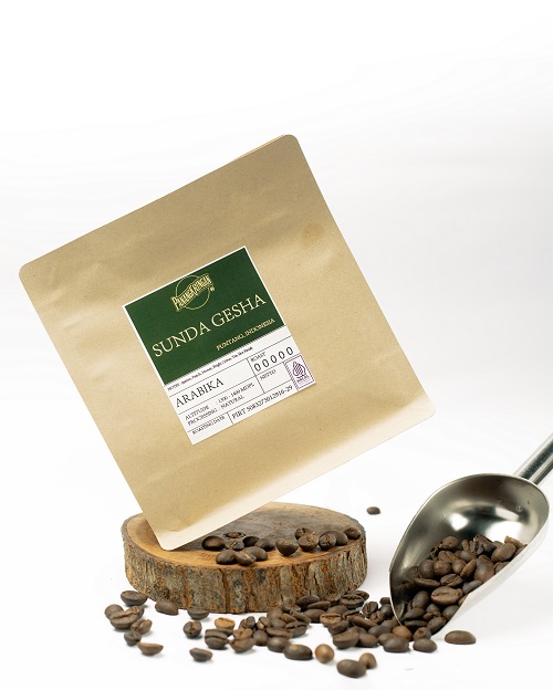 Kopi 3.jpg