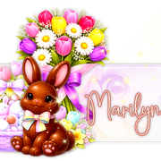 Marilyn 91ºBanner
