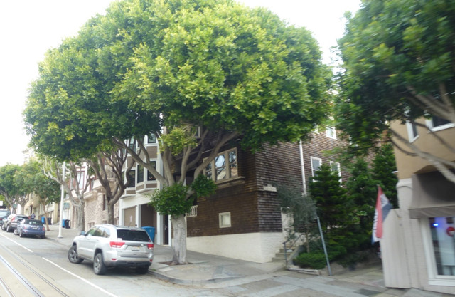 P1090458