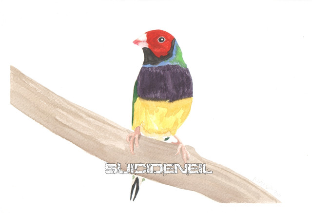 Painting10
