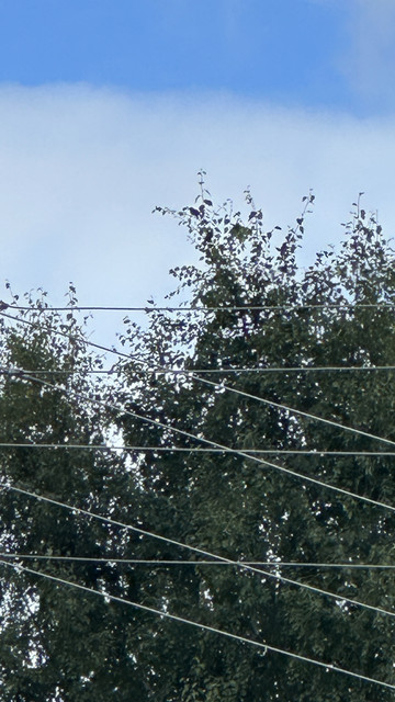 IMG 4935.jpg