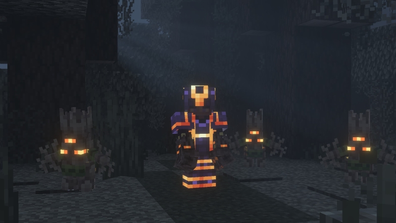 Image 9