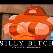 Silly Bitch