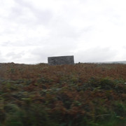 DSCF5463