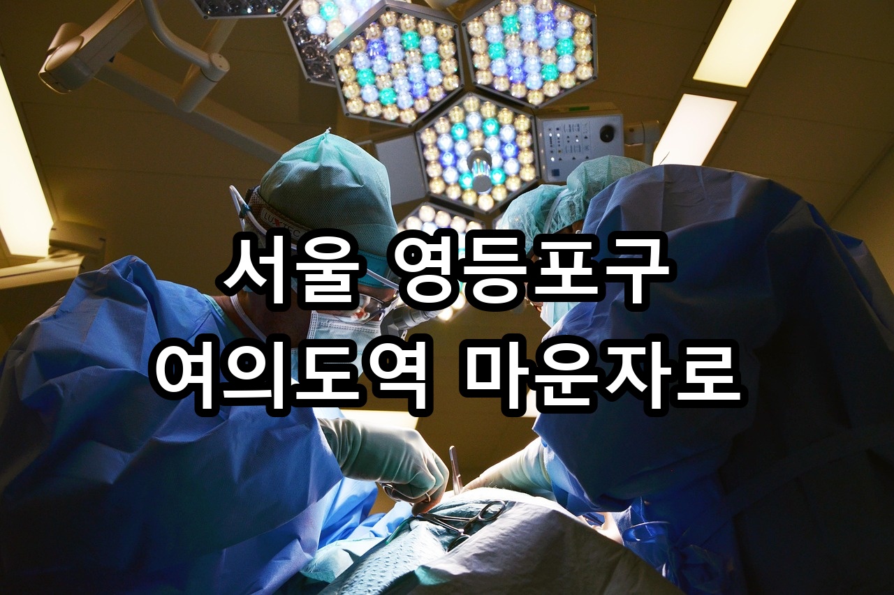 서울 영등포구 여의도역 마운자로 안내