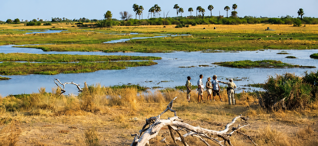 Walking Safaris