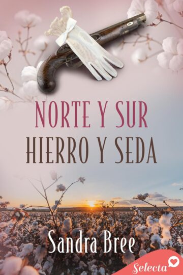 Norte y sur. Hierro y seda