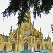 DSCN5008