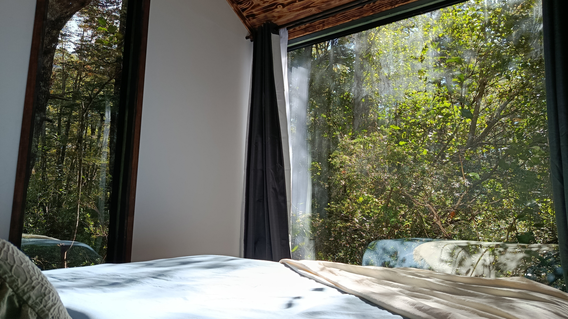 Vista desde la cama hacia el bosque