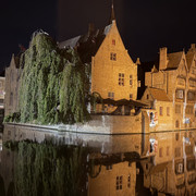 IMG 0226