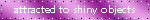 shiny objects