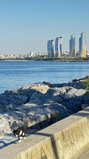 akşam 07:30 sabah 07:30