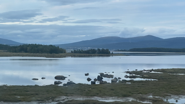 IMG 6008.jpg