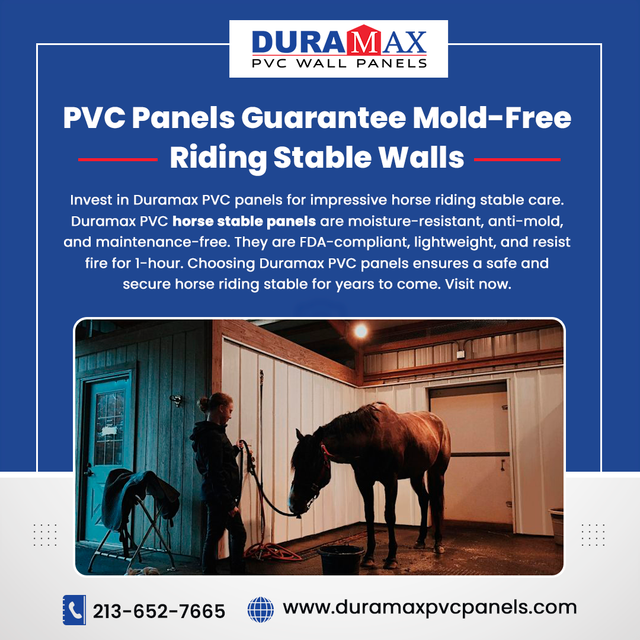 PVC Panels Guarantee Mold-Free Riding Stable Walls.png