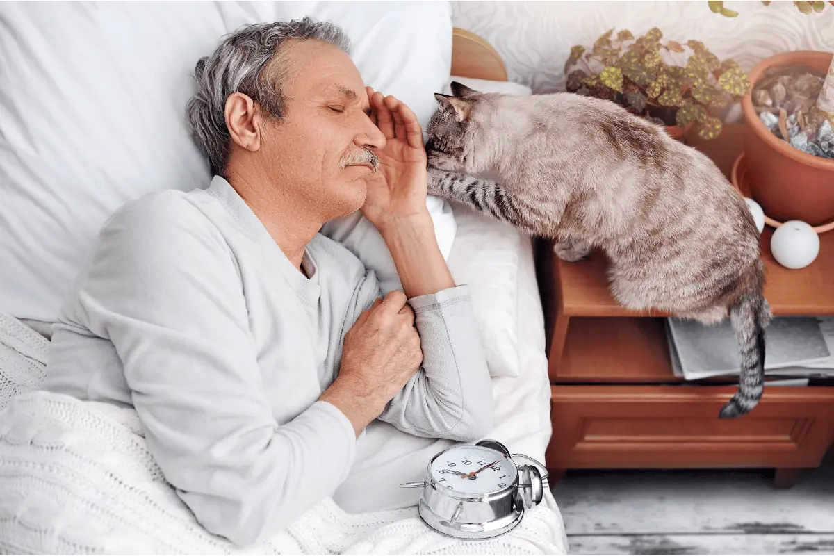 Cats’ Annoying Habits Explained: What Your Pet Is Really Trying to Say