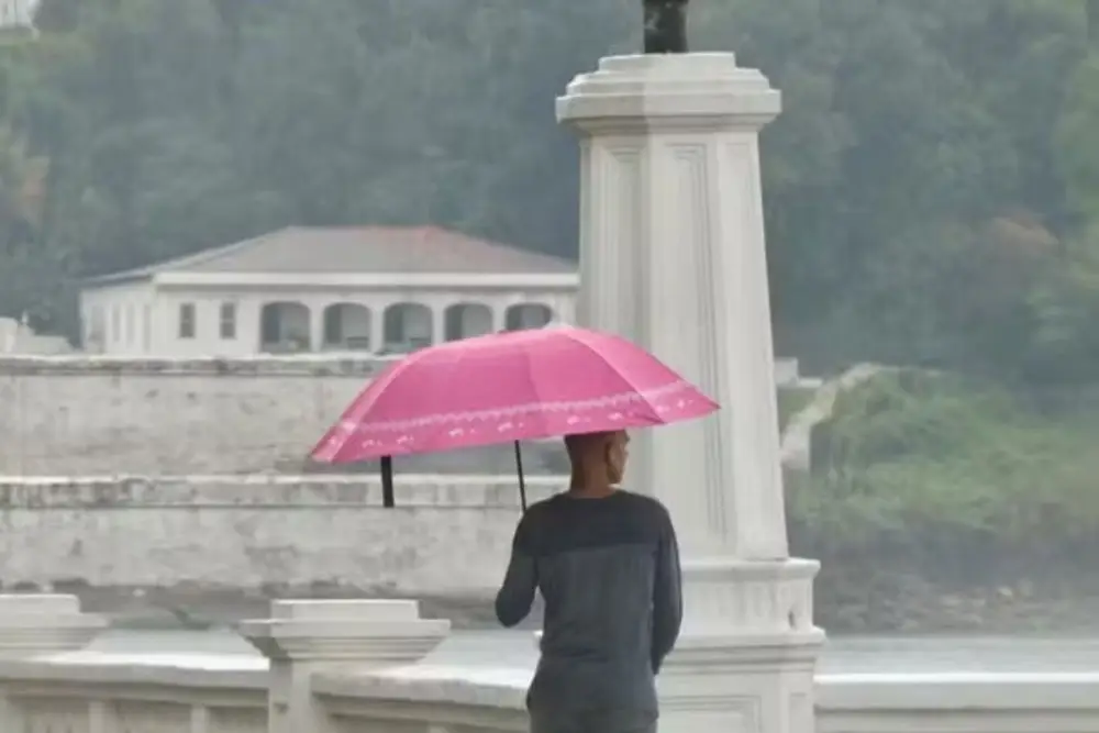 Chuva Guarda Chuva