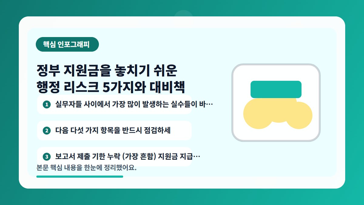 정부 지원금을 놓치기 쉬운 행정 리스크 5가지와 대비책 핵심 내용을 요약한 인포그래피