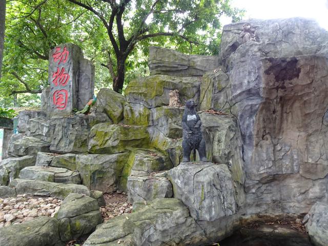 DSC00186.jpg
