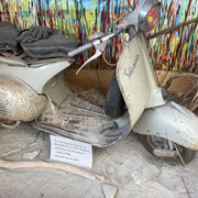 IMG 1883