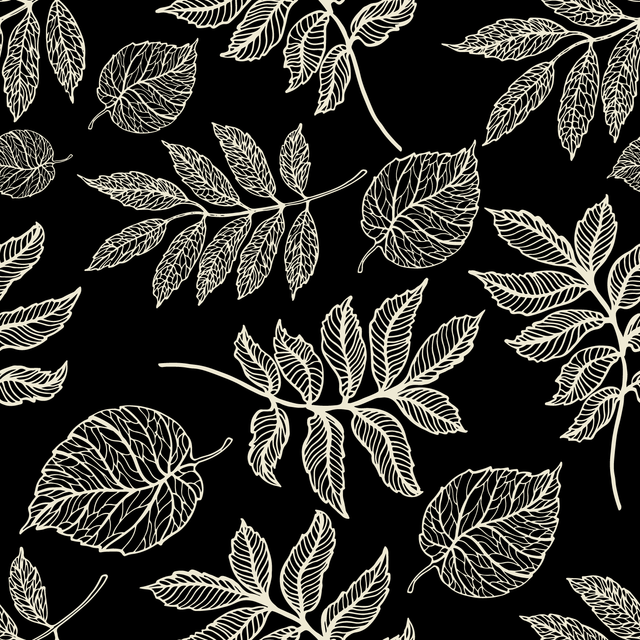 dc21071e9d5a2c6ee89faaaded60f835.png