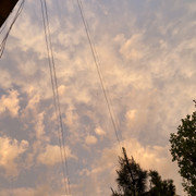 IMG 0381