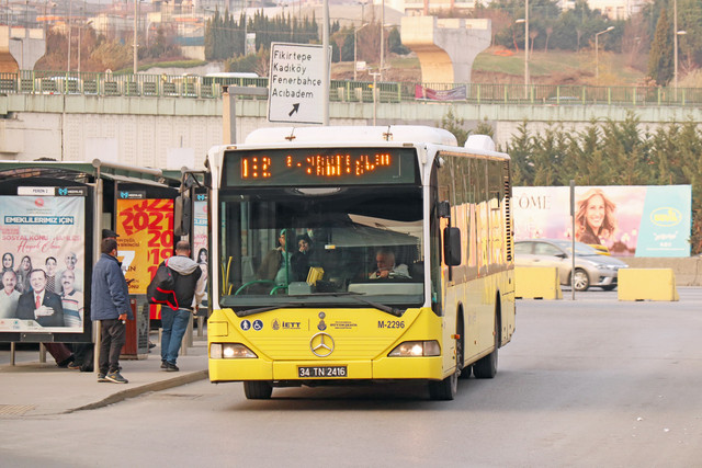 3018539