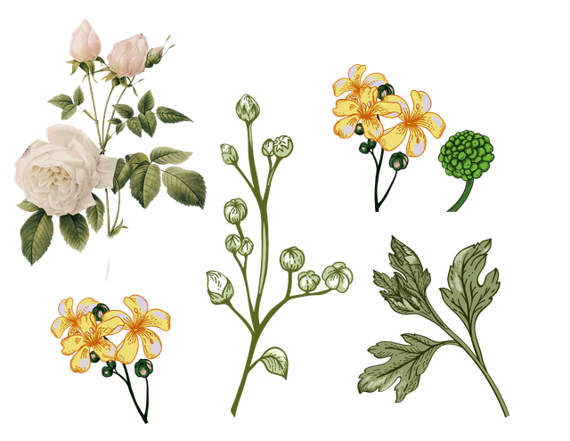 b53a86bb2f6077cc1b4f0c909327cbd6.png