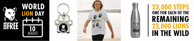 WOW-Enthuse-Paw-Print